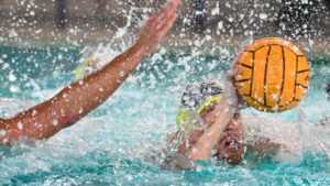 Scopri di più sull'articolo Trasferta insidiosa per l’Ortigia a Bologna. Velkic: “Un match difficile contro la vera sorpresa di questo campionato”