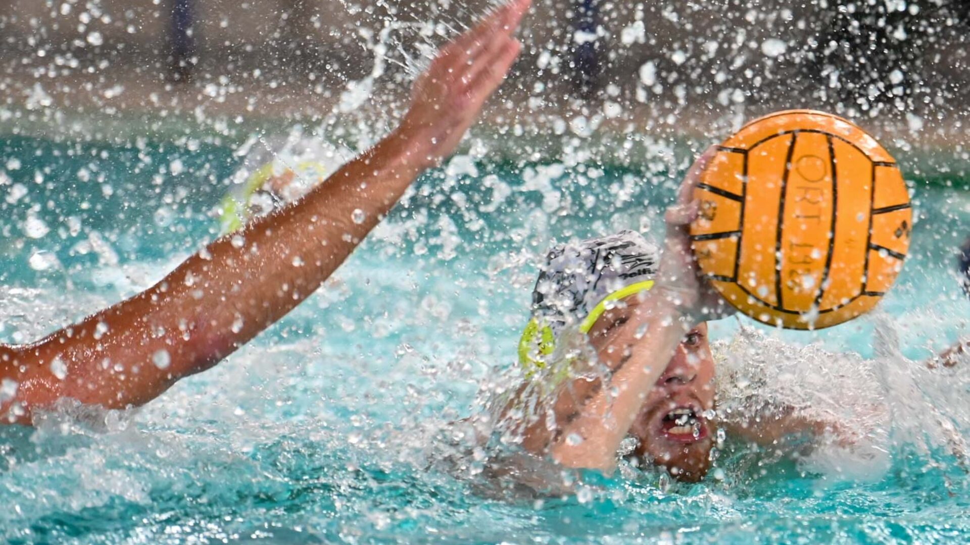 Al momento stai visualizzando Trasferta insidiosa per l’Ortigia a Bologna. Velkic: “Un match difficile contro la vera sorpresa di questo campionato”